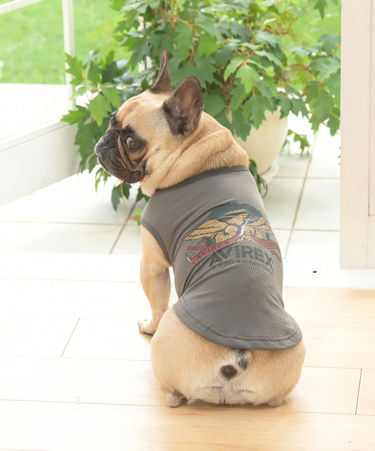 Product image 16