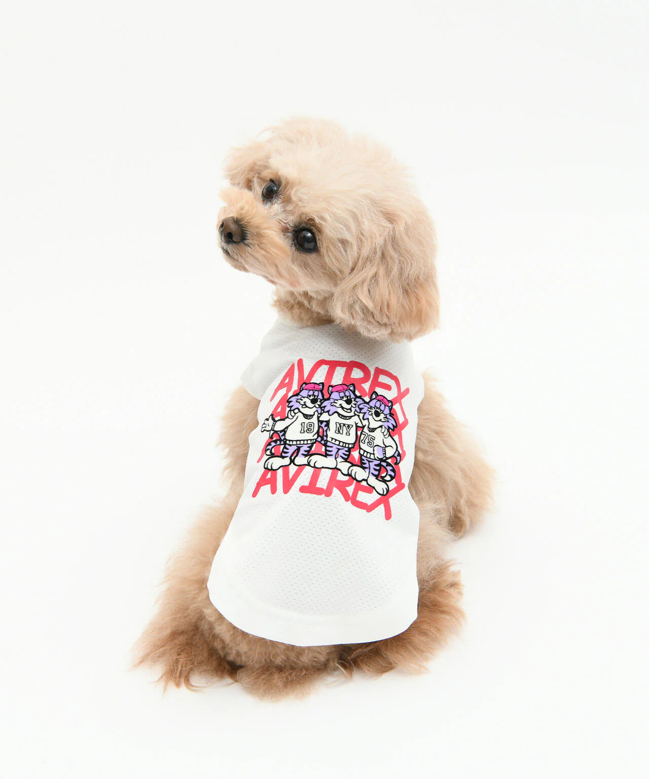 Product image 24